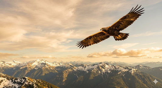 An eagle soaring above mountains in golden light, symbolizing renewed strength from waiting on the Lord