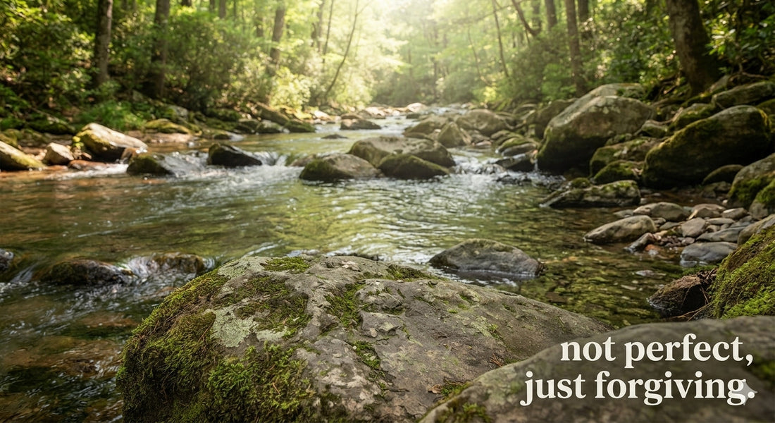 peaceful forest stream with mossy rocks and sunlight not perfect just forgiven Christian grace