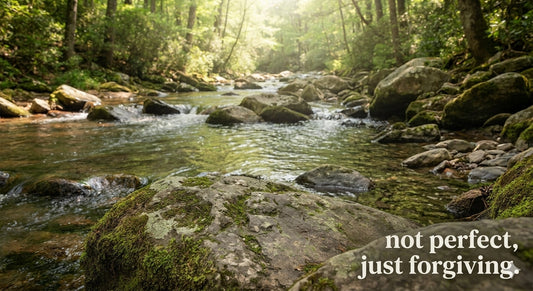 peaceful forest stream with mossy rocks and sunlight not perfect just forgiven Christian grace